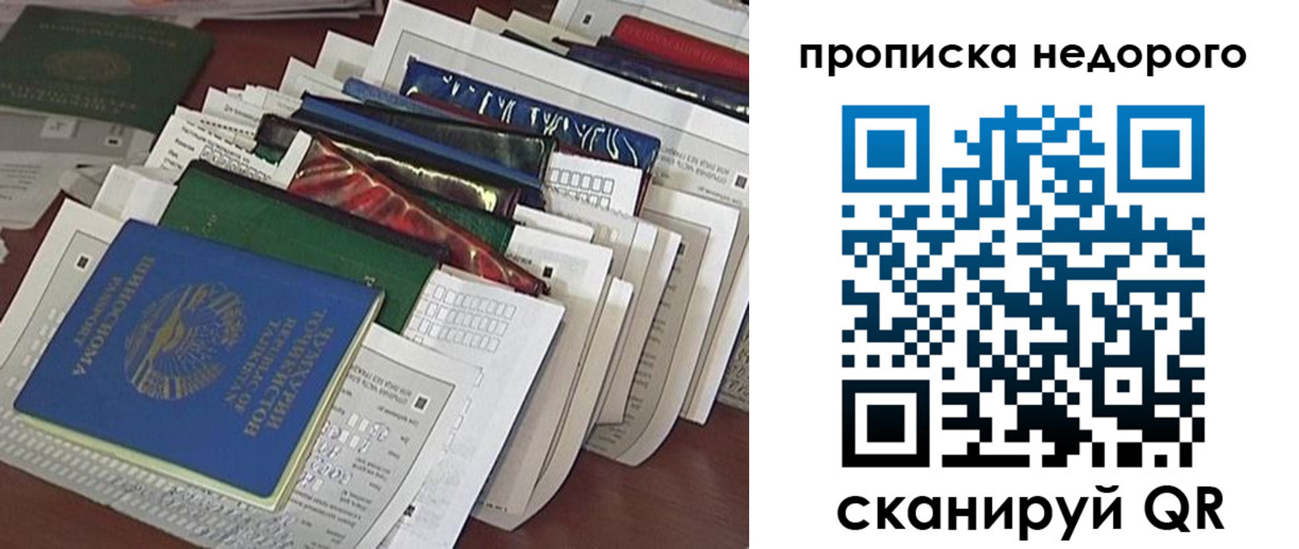 прописка гарантия в Сельцо